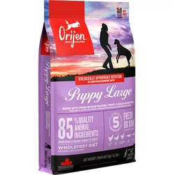 Orijen Puppy Large 6kg