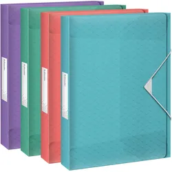 5x Esselte, Dokumentenablage, Colour'Ice Ablagebox