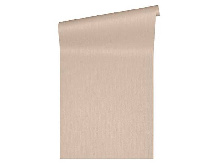 A.S. Création Uni-Vliestapete in Putzoptik – Beige, Creme – 10,05 x 0,53 m