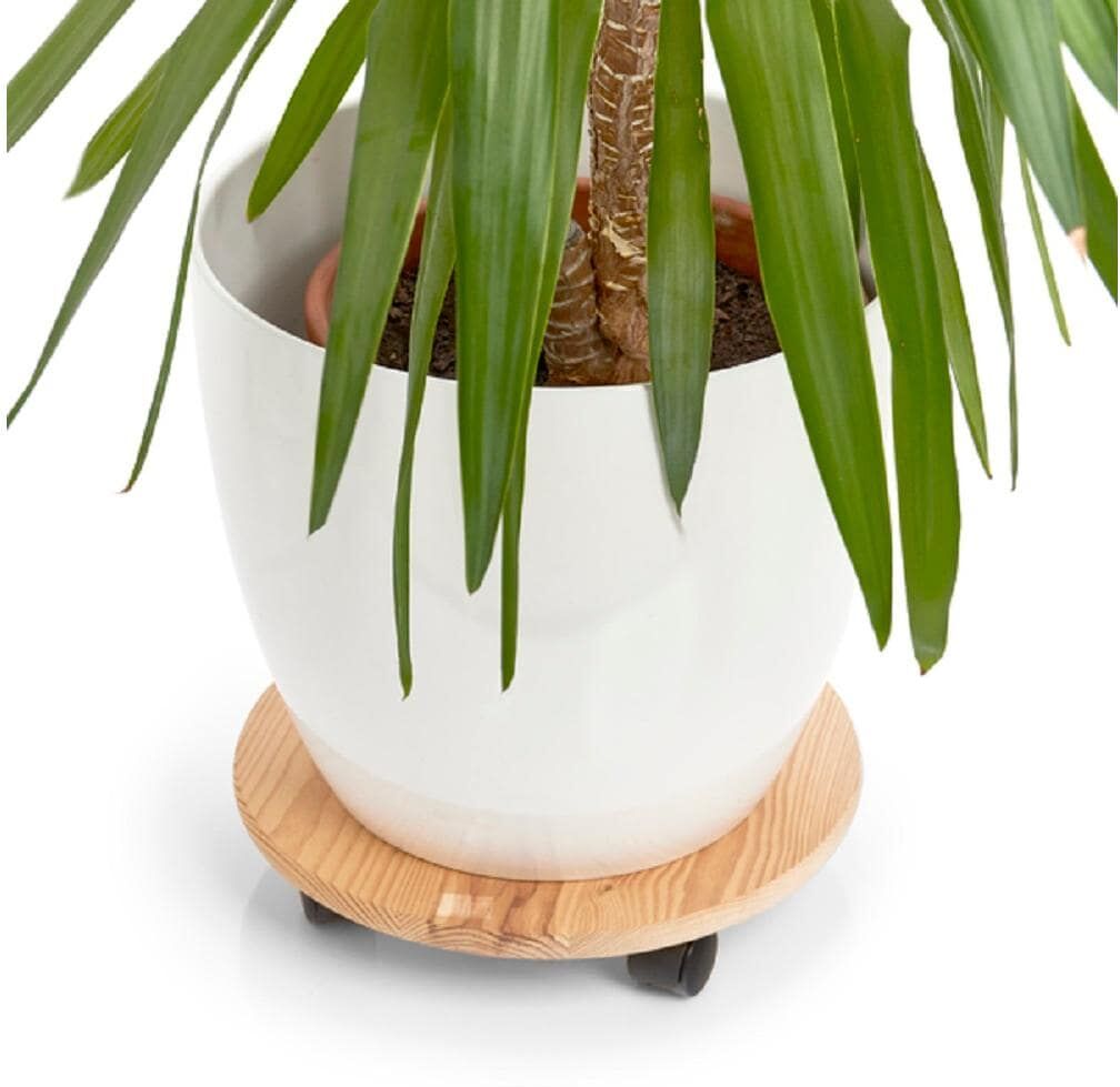 Blumentopfuntersetzer ZELLER PRESENT "Present Rolleruntersetzer Ø 35 cm, Nature", beige (nature), Ø:30cm, Untersetzer, Blumentopfuntersetzer, Holzart: Kiefer (Polen) nature Einheitsgröße