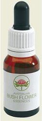 BUSH BIOTHERAPIES Pty Ltd MINT BUSH 15ML GTT