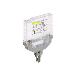 WAGO 2042-7204 Solid-State-Relaismodul 1 St.