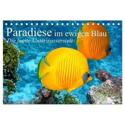 Paradiese im ewigen Blau. Die bunte Unterwasserwelt (Tischkalender 2026 DIN A5 quer), CALVENDO Monatskalender