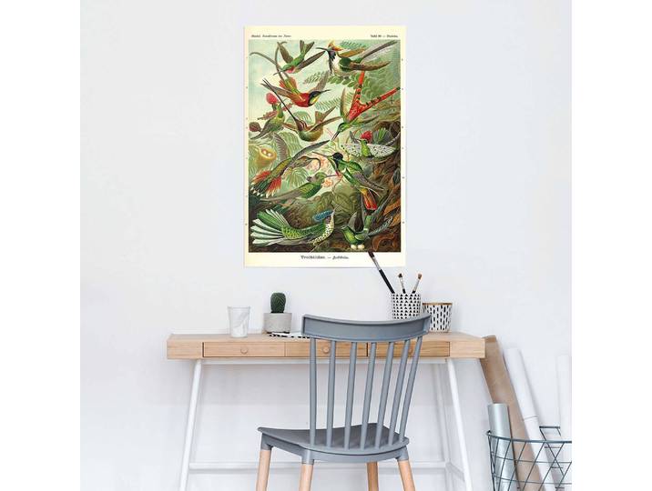 Poster Kolibris Papier Multicolor 61 x 92 x 0cm