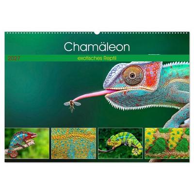 Chamäleon - exotisches Reptil (Wandkalender 2027 DIN A2 quer), CALVENDO Monatskalender