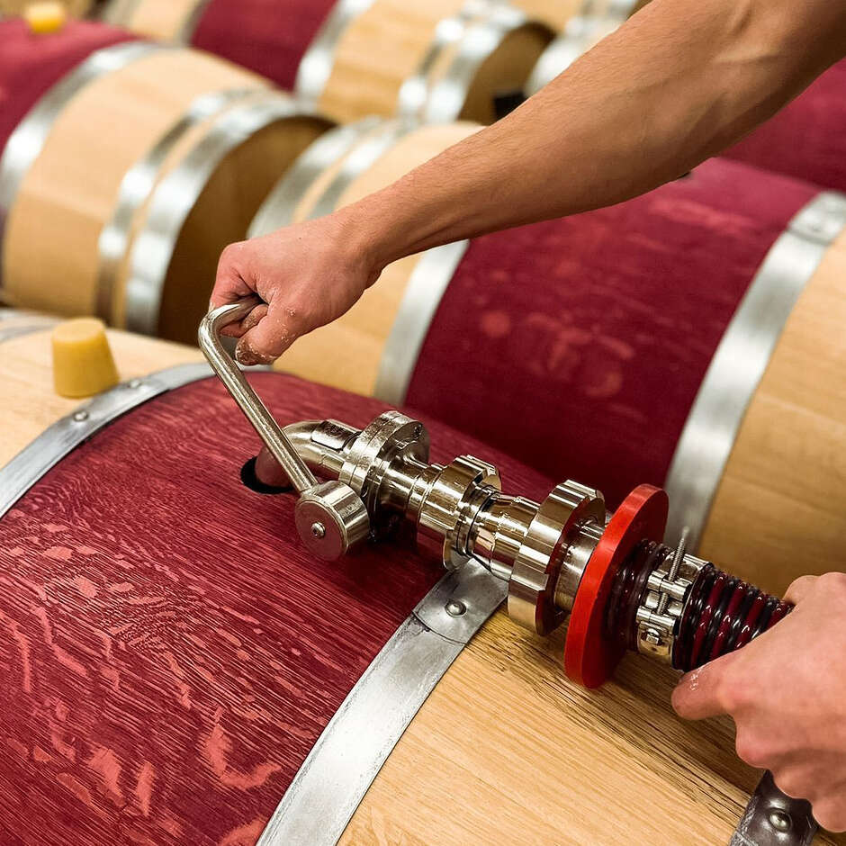 Polsinelli Colorant en poudre Vinocolor pour la teinture des fûts (100