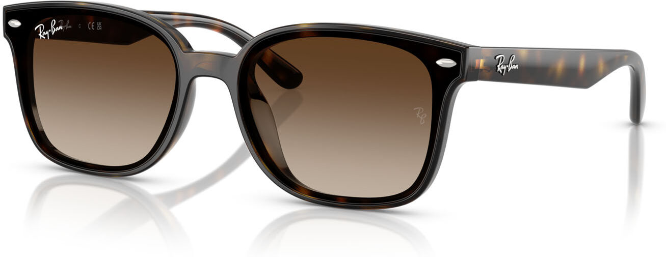 Ray Ban 4461D (710/13) Femme