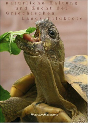 Wolfgang Wegehaupt - Natürliche Haltung und Zucht der Griechischen Landschildkröte - Preis vom 18.10.2026 15:28:09 h