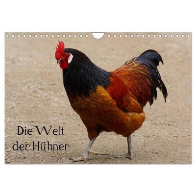 Die Welt der Hühner (Wandkalender 2027 DIN A4 quer), CALVENDO Monatskalender