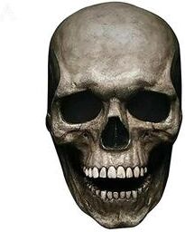 ForAllApparel Realistic Human Skull Mask With Moving Jaw Perfect Halloween Gift gray