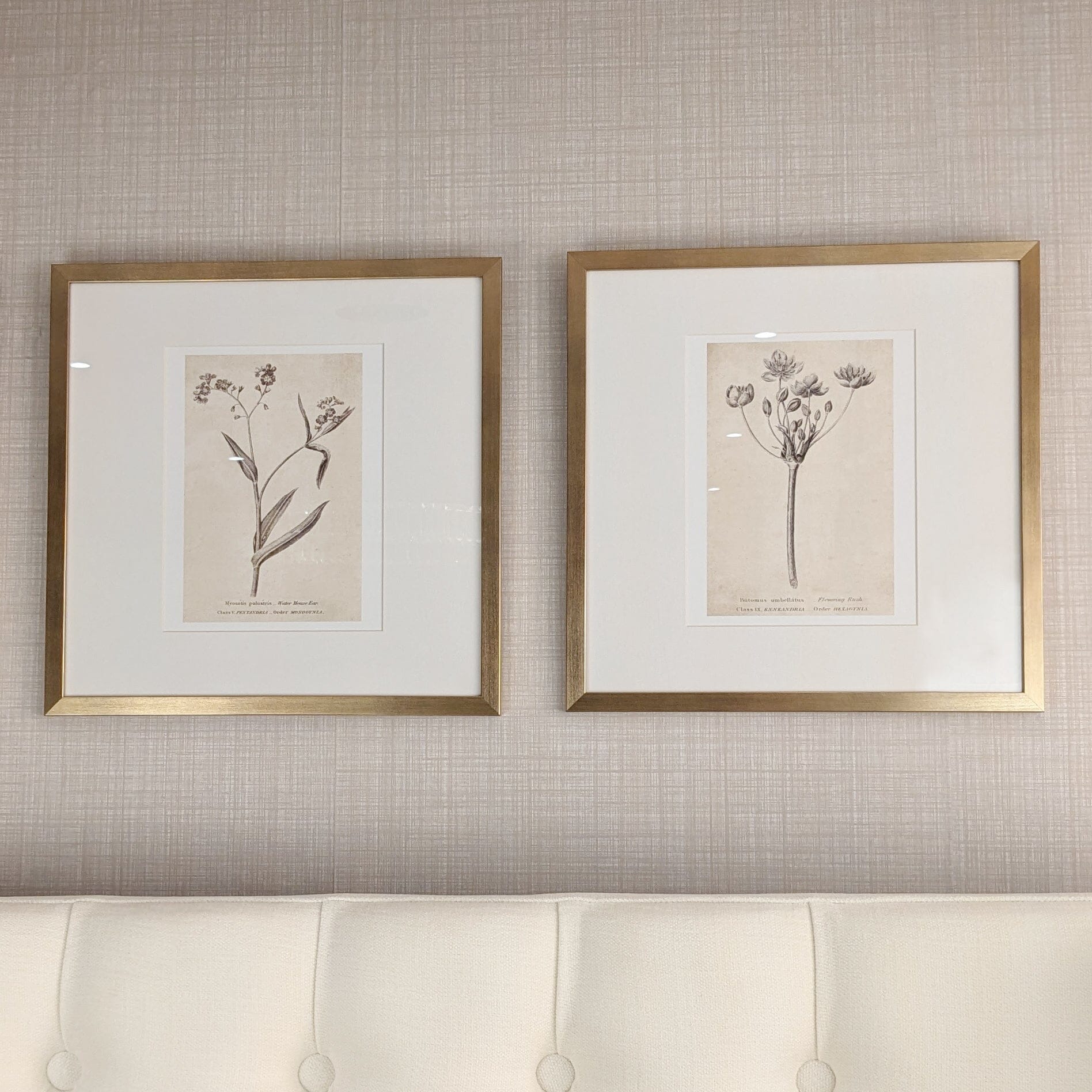 Diana Gold Framed Neutral Flower Wall Art - II