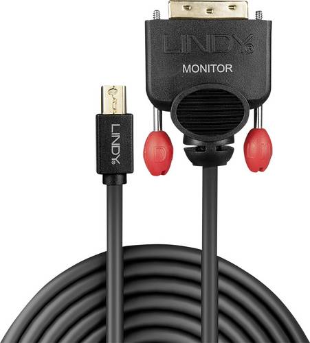 LINDY Mini-DisplayPort / DVI Adapterkabel Mini DisplayPort Stecker, DVI-D 18+1pol. Stecker 2.00 m Schwarz 41952 DisplayPort-Kabel