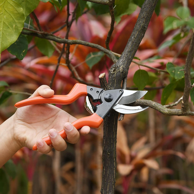 Manual Garden Clippers Bypass Pruners With Comfort Grip For Daily Plant Trimming orange