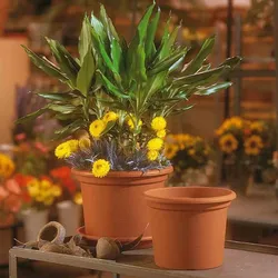 euro3plast Pflanzkübel GEO Ø 45 cm terracotta