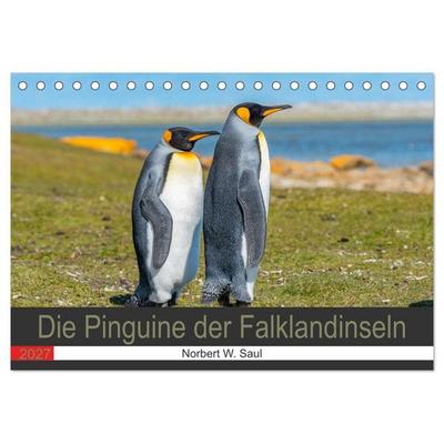 Die Pinguine der Falklandinseln (Tischkalender 2027 DIN A5 quer), CALVENDO Monatskalender
