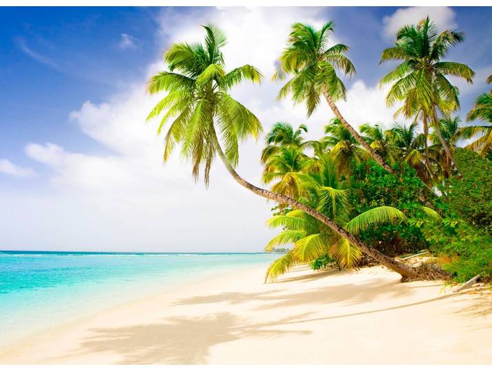 Fototapete PAPERMOON Beach in the South Seas , bunt, B:3,5m L:2,6m, Vlies, Tapeten, Fototapete