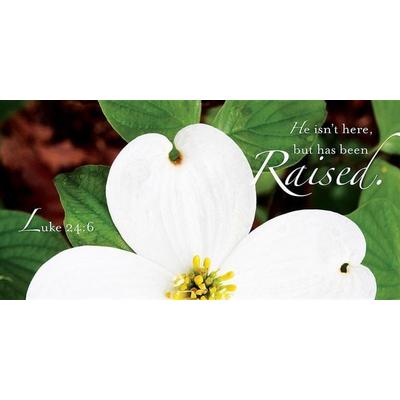 Raised Easter Dogwood Offering Envelope 2013 (Package of 50)
