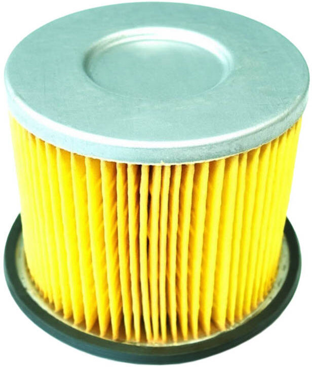 MOTAQUIP VFF202 Fuel filter