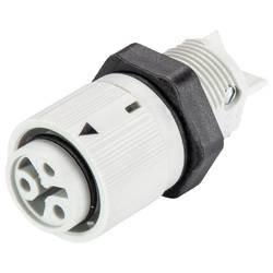 Wieland Electric 46.031.5053.0 Geräteanschluss