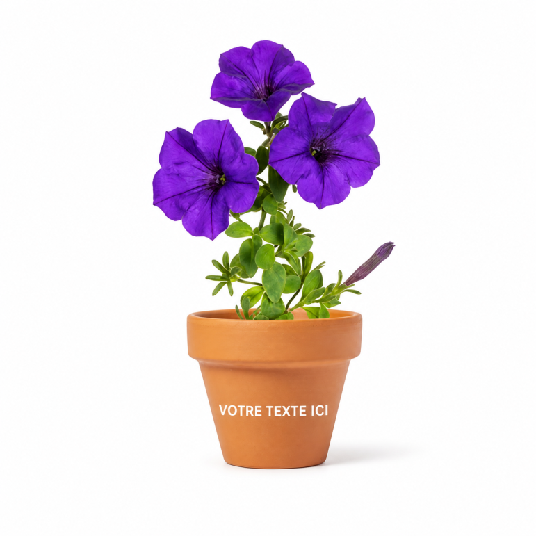 Pot de fleurs personnalisé Soltax terre cuite