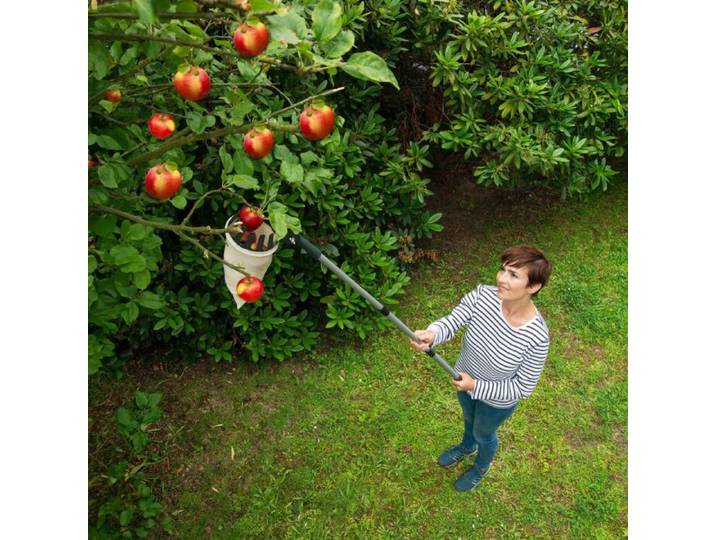 Obstsammler 2in1 mit Teleskopstiel