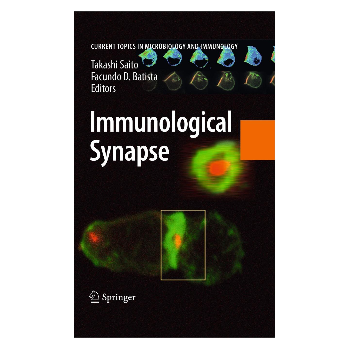 Springer Immunological Synapse (Englisch, Hardcover, Facundo D. Batista, Takashi Saito) (9783642038570)