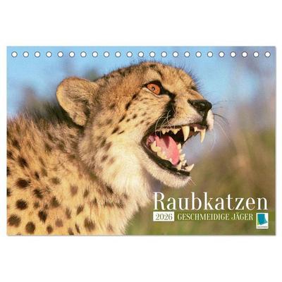 Raubkatzen: Geschmeidige Jäger (Tischkalender 2026 DIN A5 quer), CALVENDO Monatskalender