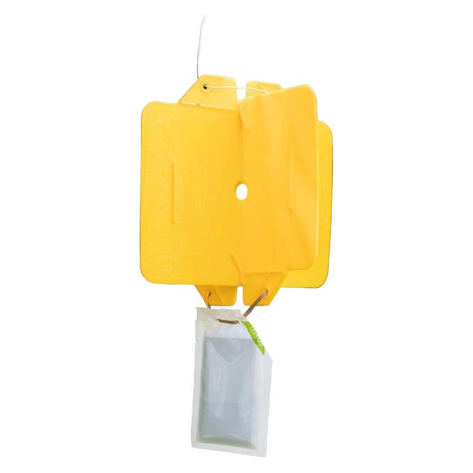 Andermatt Biogarten Rebell (2751G)