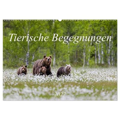 Tierische Begegnungen (Wandkalender 2027 DIN A2 quer), CALVENDO Monatskalender