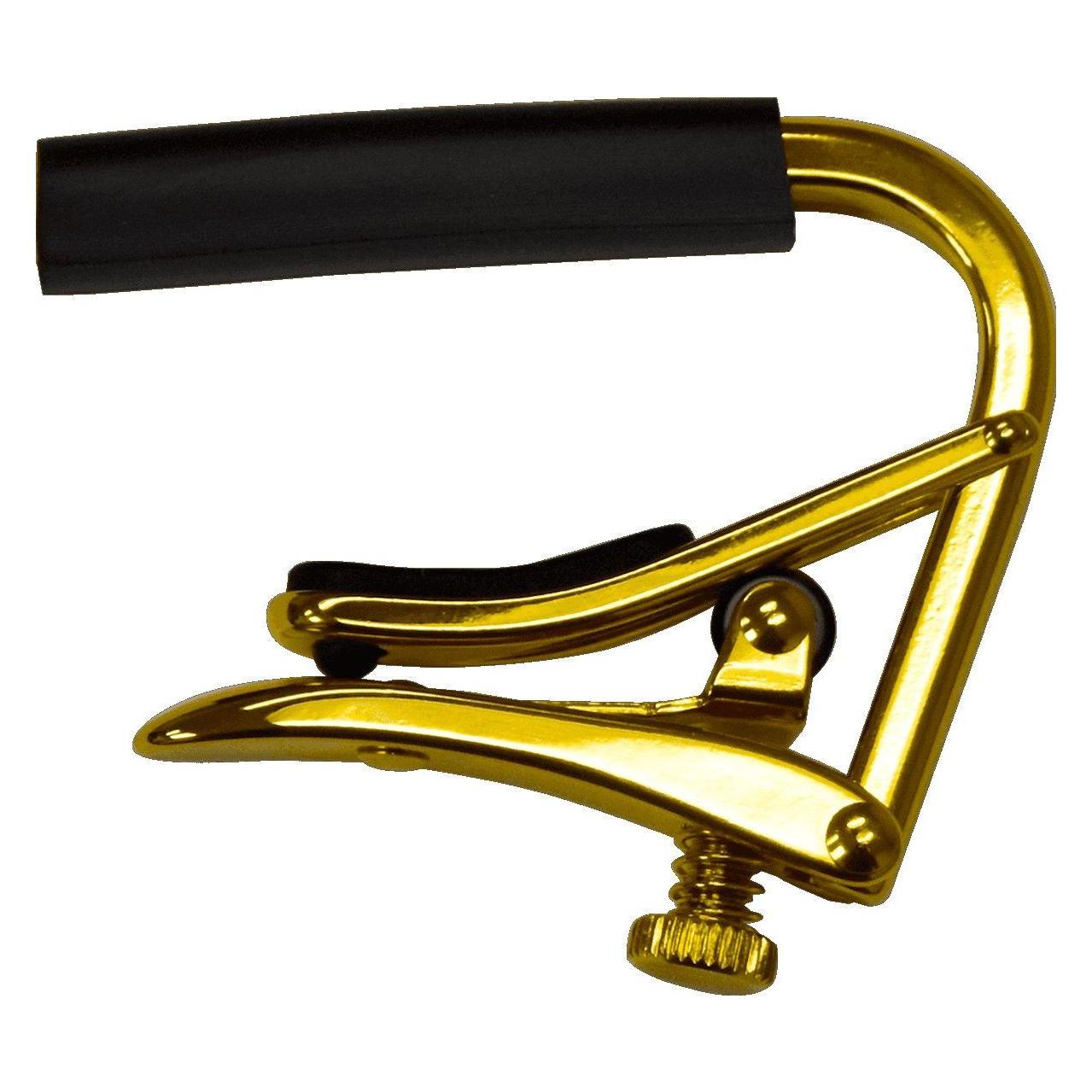 Shubb Capo C5 / Banjo gold (B083P34VQV)