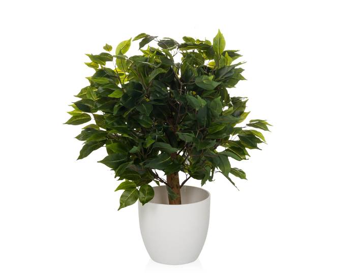 Plante Artificielle / Arbre Artificiel Ficus Ii 65 Cm Vert Hjh Office