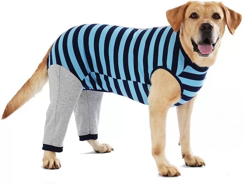 INF Corgi Teddy Hunde Kleidung für kleine bis große Hunde - Herbst- und Winterbekleidung L Blau