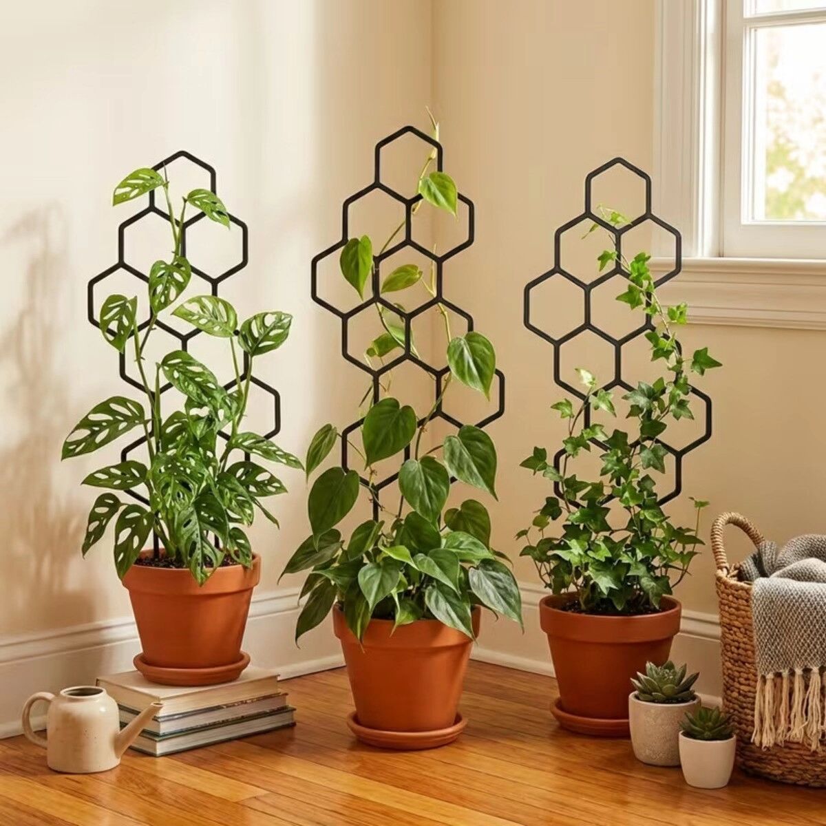 INF Waben-Rankgitter aus Eisen – schwarzes, wandmontiertes Sechseck-Rankgitter für Efeu, Pothos, Clematis