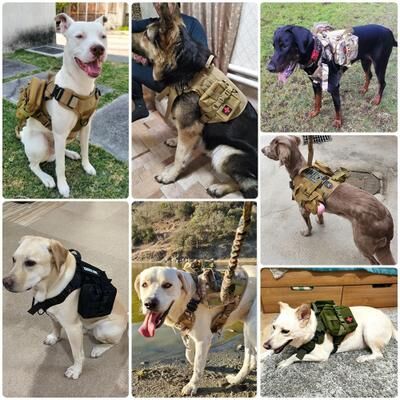 PetsAreLife Military Grade Large Dog Harness & Leash Set Tactical Training Vest For German Shepherds & K9s green Set xl