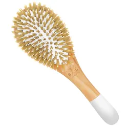 BACHCA Detangling And Shine Hairbrush