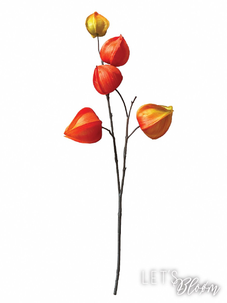 Let's Bloøm Kunsttak Physalis Oranje - 3 stuks - Zijden kunstbloemen voor herfstdecoratie