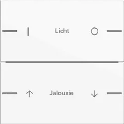 Gira Wippenset 2fach individuell für Tastsensor4 System 55 Reinweiß 576203