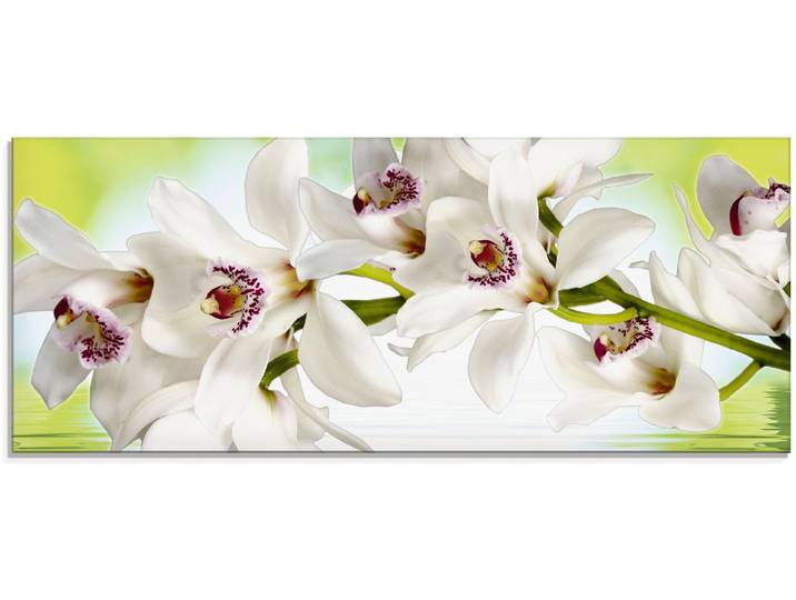 Glasbild ARTLAND Weisse Orchidee , weiss (farbe bild(er): weiß), B:125cm H:50cm, Bilder, Glasbild, in verschiedenen Grössen
