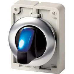 Eaton 188200 Leuchtwahltaste, RMQ-Titan, mit Knebelgriff, rastend, 2 Stellungen (V-Stellung), blau, Frontring Edelstahl M30I-FWLKV-B