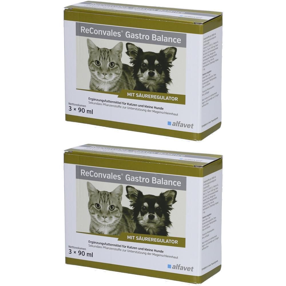 Reconvales Gastro Balance Erg.Futterm.f.Hund/Katze 2x 2x3x90 ml Flüssigkeit