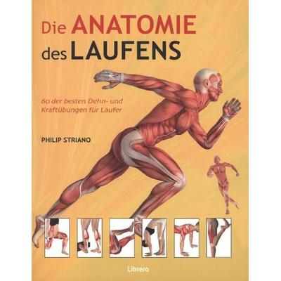 Die Anatomie des Laufens, Taschenbuch von Philip Striano, Librero, 978-90-8998-567-5