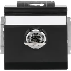Busch-Jaeger 20EUKNBSL-81 SCHUKO® Steckdosen-Einsatz Safety+ mit Klappdeckel, Zylinderschloss/abschließbar, verschieden schli 2CKA002018A1557