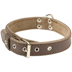 Alter Ego Italy Sportswear (M, Hund, Allgemein, Hundesport, Spazieren), Halsband + Leine