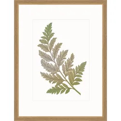 Bilderrahmen MODERN (BH 43x33 cm) - braun - BH 43x33 cm