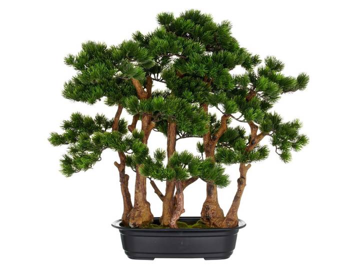 Kunstpflanze JUNIPERUS HÄNGER Kunststoff, Grün, H: 60 cm