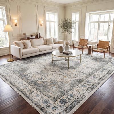 SAFAVIEH Evoke Annabel Vintage Shabby Chic Oriental Rug