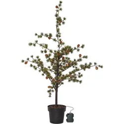 Star Trading, Weihnachtsbaum, Buxbom (117 cm)