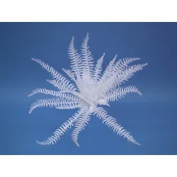 EUROPALMS Dekofarn zum Selbstfärben, künstlich, 60cm