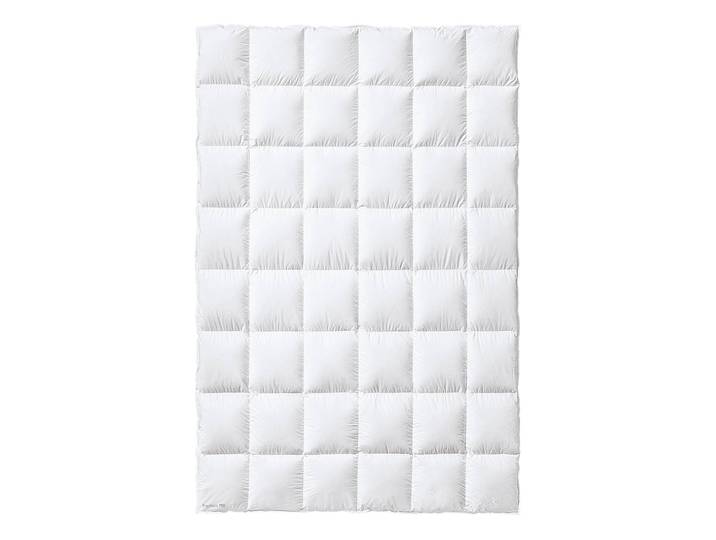 Couette en duvet medium 200 x 220cm Blanc Coton