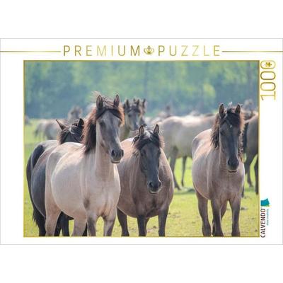 CALVENDO Puzzle Die jungen Stuten | 1000 Teile Lege-Größe 64x48cm Foto-Puzzle für glückliche Stunden